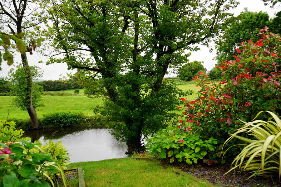 Lawn Landscaping